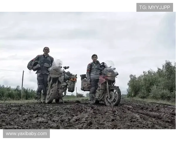 重建之路上的坚韧与希望 深度解析多伦多猛龙的未来蓝图